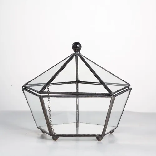 Vista 5 de NCYP Terrario geométrico de vidrio pequeño, contenedor cerrado en caja de joyas, maceta para suculentas, decoración de jardín para interiores