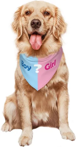 Vista 8 de ¿Qué será? Anuncio de embarazo, bufanda triangular para mascotas, revelación de género, accesorios de fotografía de baby shower (rosa)