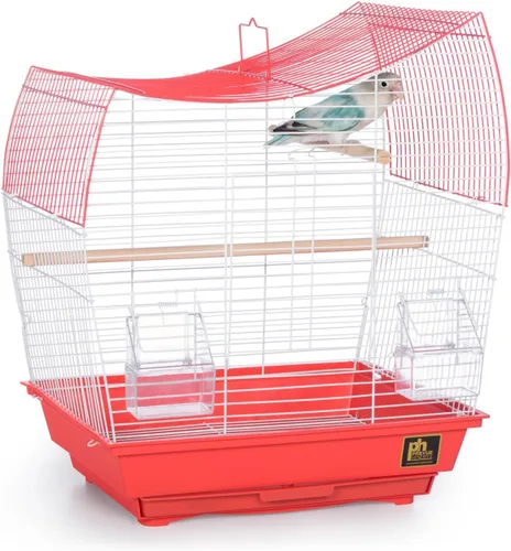 Vista 4 de Prevue Pet Products South Beach Wave Top - Jaula para pájaros, verde lima (SP50081)