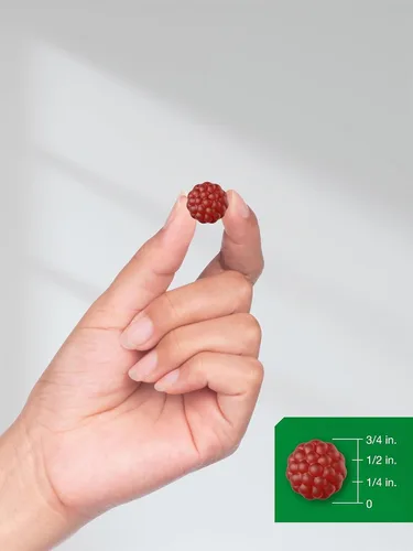 Vista 8 de Horbäach Gomitas de arándano 70 unidades Suplemento vegano, sin OMG y sin gluten Fórmula de extracto de alta potencia
