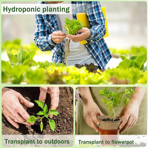 Vista 5 de DECYOOL Cápsulas de semillas de jardín, kit de 48 cápsulas hidropónicas: kit de cultivo de cualquier cosa con 12 cestas de cultivo, 12 esponjas