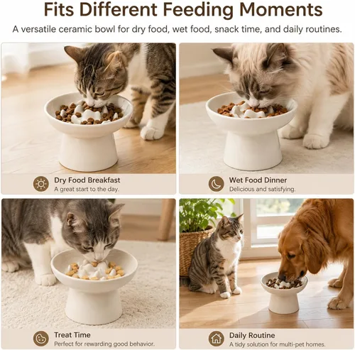 Vista 4 de Cuenco elevado de cerámica para alimentación lenta para gatos, plato ancho poco profundo de 6 pulgadas, cuenco de comida para gatos antivómitos