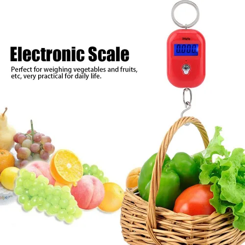Vista 2 de Mini báscula electrónica, báscula de pesaje de pescado, portátil, 55.1 lbs/5G, báscula colgante digital, llavero de bolsillo, gancho