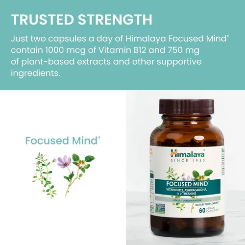 Vista 6 de Himalaya Suplemento mental enfocado, con Ashwagandha, Bacopa y L-teanina para atención, concentración y apoyo energético, 60 cápsulas veganas, sin