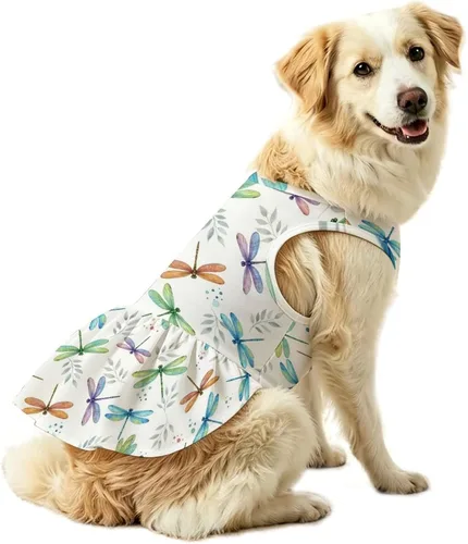 Vista 20 de Dog Dress for Medium Dogs (Baseball Gifts Art)