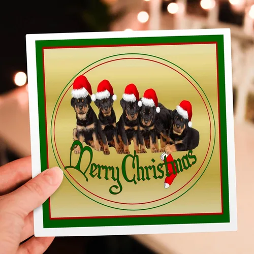 Vista 7 de 3dRose Feliz Navidad - rottweiler, rottweilers, propietario de rottie, cachorro rottweiler, cachorros - Tarjetas de felicitación, 6 x 6 pulgadas