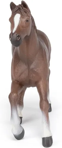 Vista 4 de Papo - Figura realista de yegua anglo-árabe - A partir de 3 años - Colección de caballos - Mundo ecuestre creativo - Juguete de idea de regalo
