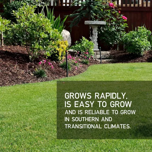 Vista 2 de Hancock Seed Co. Highlander Turf Bermuda Grass Seed - 10 libras