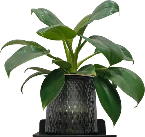 Vista 8 de Pequeño estante flotante – 6 pulgadas, soporte de pared de metal negro, estantes flotantes de pared para router, cámara, plantas, baño, cocina