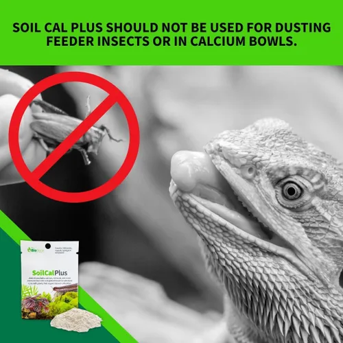 Vista 5 de The Bio Dude Soil Cal Plus - Aditivo de calcio de sustrato bioactivo. Ideal para isópodos, milpiés y plantas