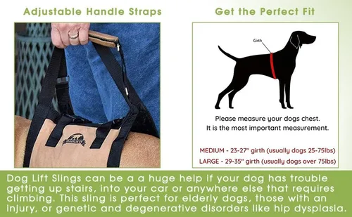 Vista 5 de Arnés de elevación para perros – Arnés de apoyo para perros – Elevador de escaleras para perros – Elevador de coche para perros discapacitados