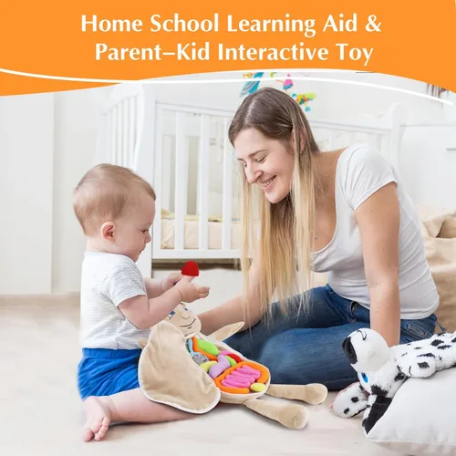Vista 3 de vocheer Juguete de anatomía del cuerpo humano, juguetes de peluche de órgano educativo Montessori preescolar para niños, kits de aprendizaje