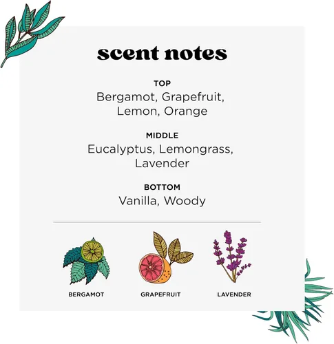 Vista 3 de Poo-Pourri Before-You-Go Espray para inodoro, Aroma a lavanda y vainilla.