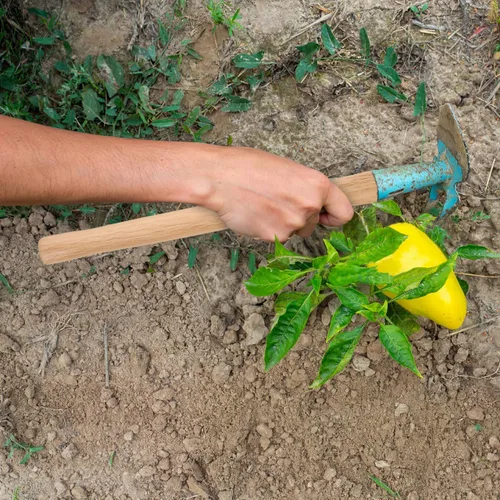 Vista 6 de Kisangel Reemplazo de mango de madera de 14.56 pulgadas para herramienta de jardín con agarre cómodo, mango de madera duradero para cuidado