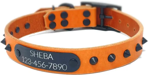 Vista 11 de Personalized Spiked Bridle Leather Dog Collar, Engraved Matte Black Metal Nameplate (Mustard Yellow)