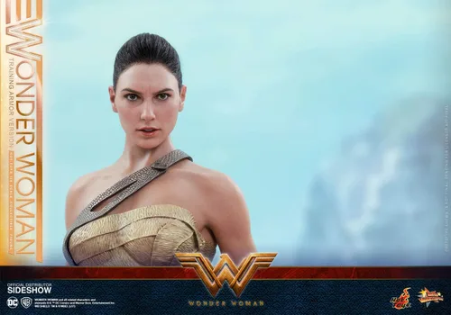 Vista 7 de Hot Toys DC Comics Wonder Woman