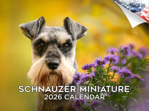 Vista 216 de Calendario de Lebrel Afgano 2025 2026, calendario mensual de pared de raza canina, 12" x 18" abierto, papel grueso sin traspaso, ideal para regalo