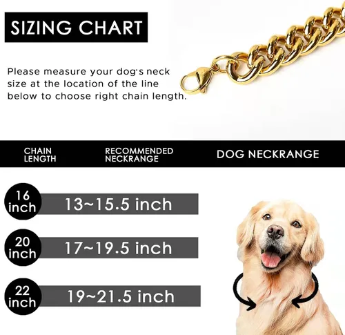 Vista 4 de Collar de cadena dorada para perro, estilo minimalista, con eslabones cubanos de metal para perros medianos y grandes, mascotas, resistente, a