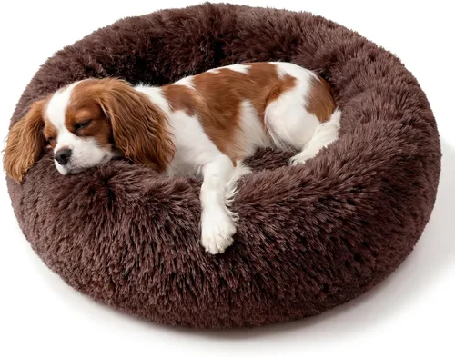 Vista 68 de Cama para perros pequeños, cama calmante para perros pequeños, antiansiedad, cama para cachorros, lavable a máquina, esponjosa, de lujo Verde militar