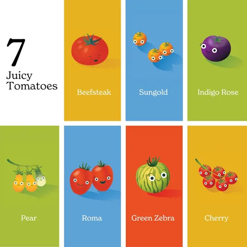 Vista 5 de Little Book of Tomatoes by Chunky Deli: A Clever Foodie Board Book for Babies and Toddlers, Unique Baby Shower Gift for New Parents Libro