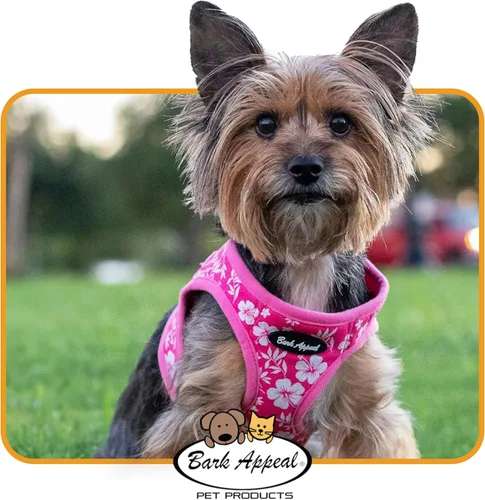 Vista 6 de Bark Appeal Arnés Escalonado para Perro Azul Aguamarina para Mascotas Pequeñas-Medianas – Tallas Actualizadas, Volver a Medir es Esencial – Arnés