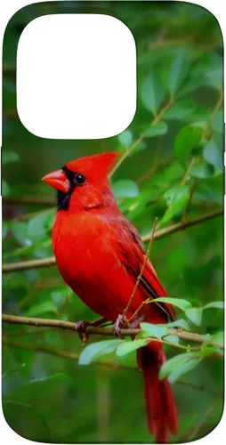 Vista 17 de Hermosa cardenal pájaro rojo escena de la naturaleza caso para iPhone 17