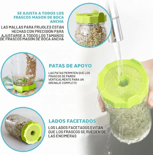 Vista 3 de Masontops Mason Jar - Juego de iniciación de tarro de germinación de frijoles, kit de brotes de frijoles fácil de bricolaje con semillas orgánicas