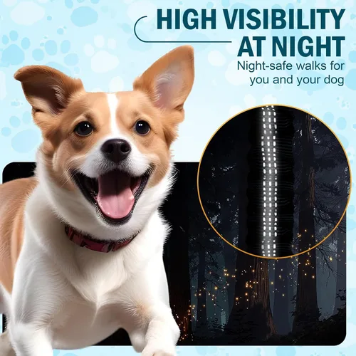 Vista 6 de Correa de perro manos libres con cinturón – Bungee sin tirones, asas acolchadas dobles y bolsa con cremallera para correr, caminar y entrenar