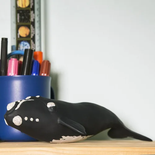 Vista 6 de Safari Ltd. Figura de ballena derecha – Figura detallada de modelo de plástico de 9.25 pulgadas – Divertido juguete educativo para niños, niñas