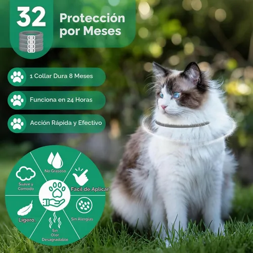 Vista 3 de Collar antipulgas para gatos, tratamiento de pulgas y garrapatas de gato