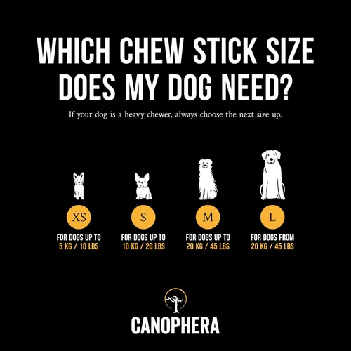 Vista 3 de Canophera Palillo masticable para perros hecho de madera de árbol de café, pequeño, paquete de 2