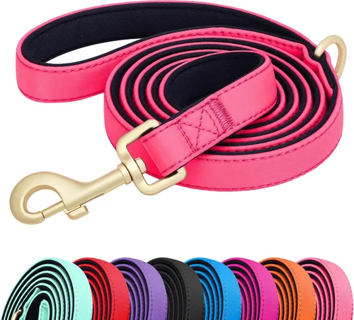 Vista 15 de Didog Correa para perro de nailon colorido de 5 pies con acolchado suave de longitud completa, ligera y duradera para perros pequeños, negro, S