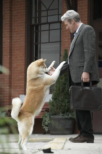 Vista 5 de Hachiko - Eine wunderbare Freundschaft