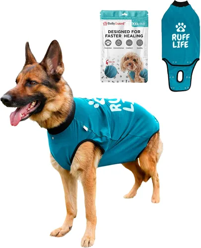 Vista 16 de Traje de Recuperación Quirúrgica BellyGuard para Perros, Mameluco para Perros para Cuidado Post-Operatorio, Ropa de Recuperación para Perros Hembra
