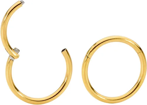 Vista 17 de 2pcs Titanium Hinged Hoops Segment Septum Nose Rings Sleeper Earrings Negro