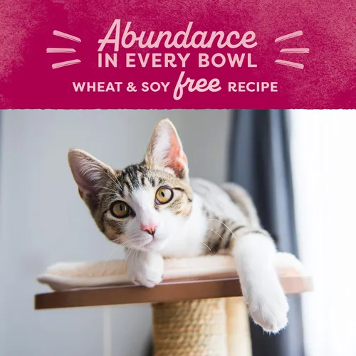 Vista 10 de Natural Balance Alimento ultra seco original para gatos, receta de harina de pollo y salmón, salud de todo el cuerpo para gatitos a gatos adultos, 6