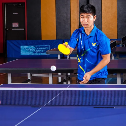 Vista 8 de Champion Sports PN5 - Raqueta de tenis de mesa de plástico, surtido