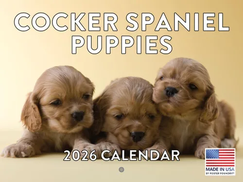 Vista 122 de Calendario mensual de pared Airedale Terrier Dog 2027 rojo (Airedale Terrier)