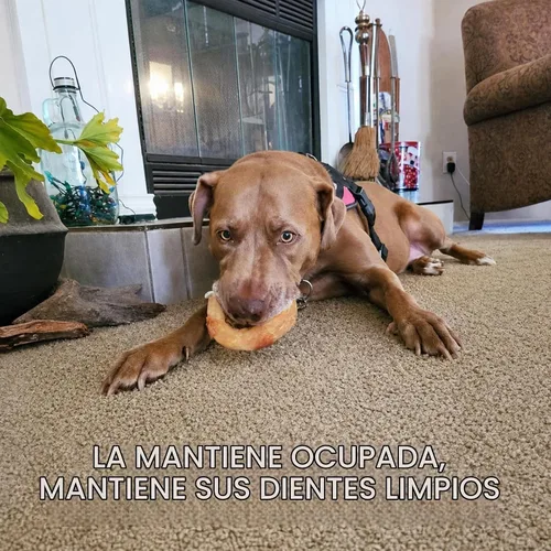 Vista 4 de Pawmate Dog Treats Chicken Wrapped Rawhide Donut Masticables de larga