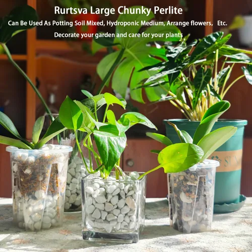 Vista 6 de Perlita gruesa dura natural de 0.4 a 0.8 pulgadas, 2 cuartos de galón para plantas hortícolas, perlita orgánica gruesa a granel, mezcla para macetas