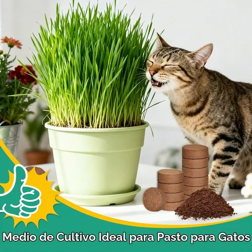 Vista 8 de ZeeDix 50 pellets de fibra de coco orgánica de 1.181 in para iniciadores de semillas, tierra de coco comprimida para plantar, suelo de jardín
