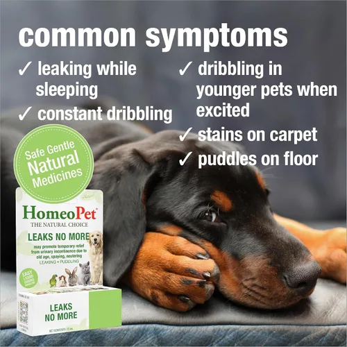 Vista 3 de HomeoPet No más fugas, alivio de la incontinencia urinaria para mascotas, medicina segura y natural para la incontinencia, 0.5 fl oz