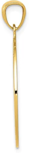 Vista 3 de Colgante de oro amarillo macizo de 14 quilates para hombre brújula perdida sin ti acabado mate cepillado 1063 in