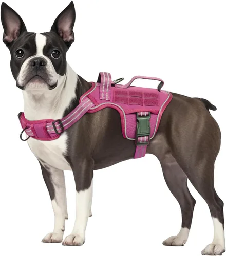 Vista 26 de Arnés para perro pequeño, arnés táctico resistente sin tirones, sin estrangulamiento, chaleco para mascotas fácil de poner y quitar con sistema