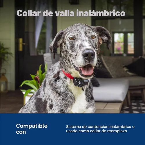 Vista 6 de PetSafe Sistema inalámbrico de contención de valla para mascotas, collar receptor solo para perros y gatos de más de 8 libras, resistente al agua