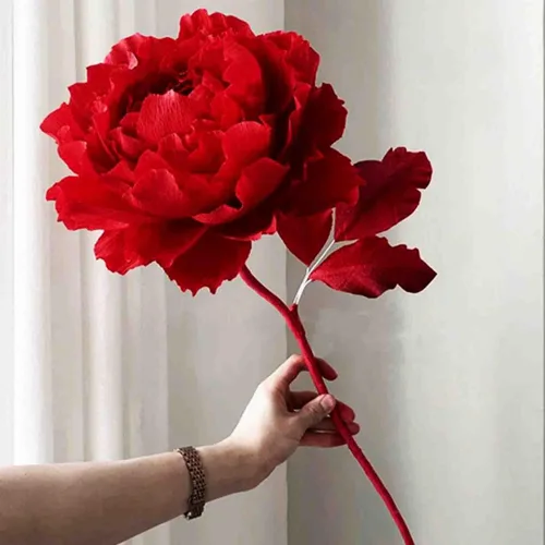Vista 3 de KYMY Rollos de papel crepé con cables de hierro y cinta, 6 rollos de flores DIY con 6 colores, serpentina para cumpleaños, boda, vacaciones