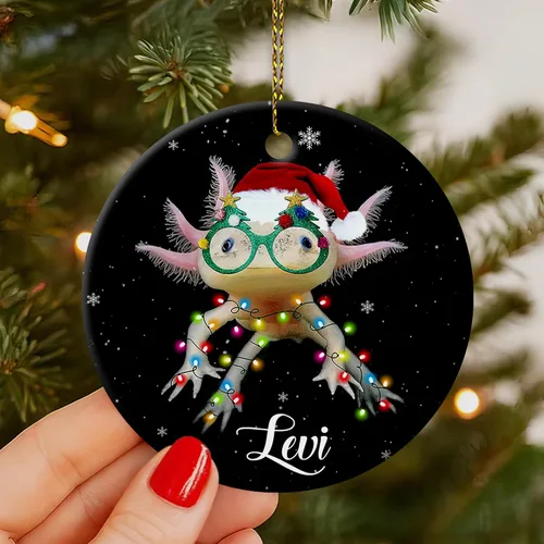 Vista 5 de HYTURTLE Adorno de Navidad personalizado de ajolote 2023 – Nombre personalizado para niños/niñas, bonitos adornos de Navidad para niños, adornos