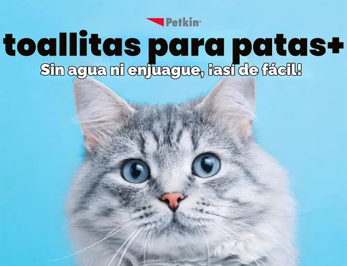 Vista 4 de Petkin Toallitas caninas 100
