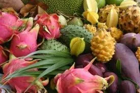 Vista 2 de Caja de fruta exótica (5 libras)