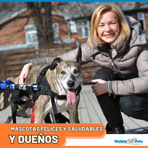 Vista 4 de Walkin' Wheels Silla de ruedas para perros, para perros grandes, de 70 a 180 libras, aprobada por veterinarios, silla de ruedas para perros para Azul